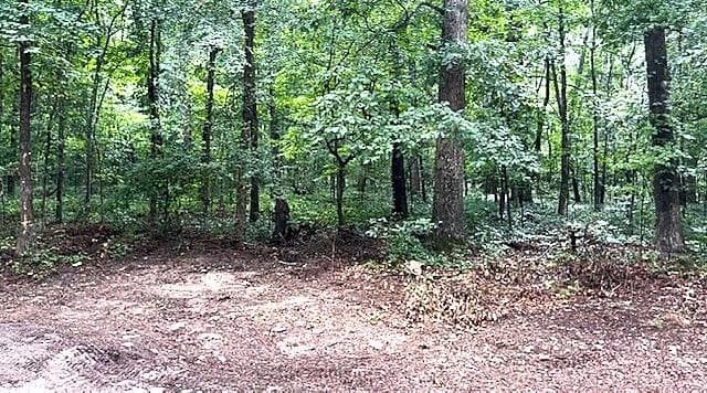 unimproved land for sale at 3871 Martin Drive, Ellenwood, GA 30294 — photo 1 of 2