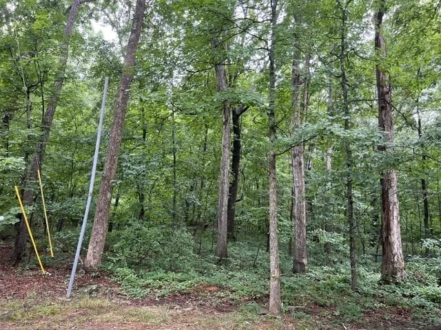 unimproved land for sale at 3871 Martin Drive, Ellenwood, GA 30294 — photo 2