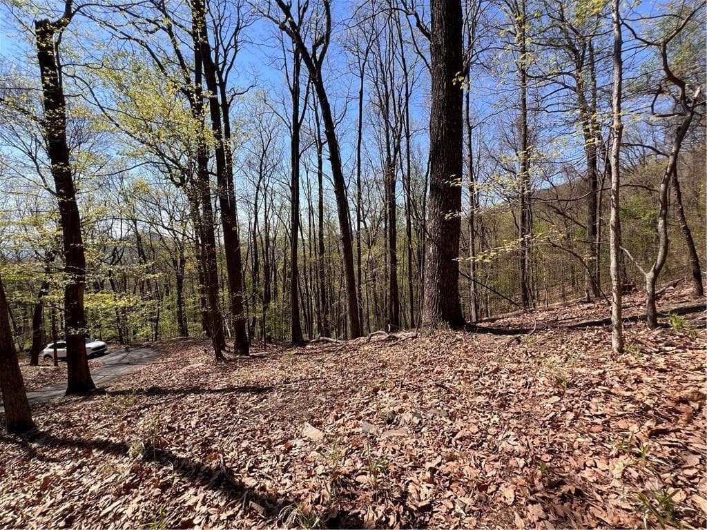 single family residence for sale at 4546 Sassafras Court, Jasper, GA 30143 — photo 10