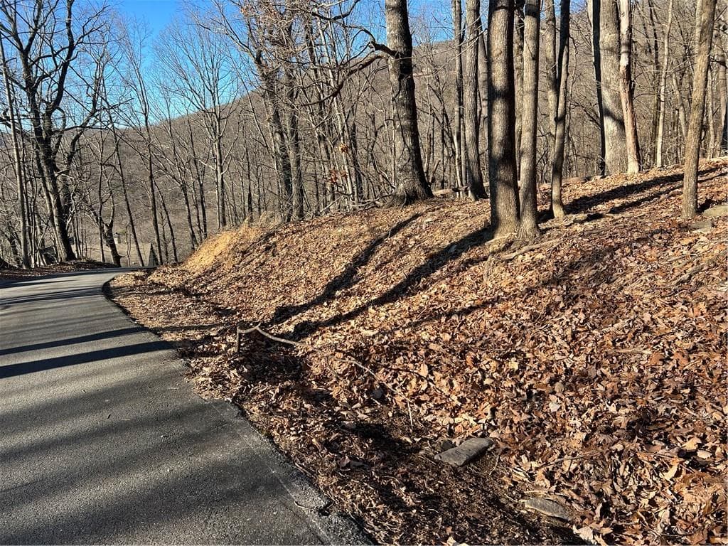 single family residence for sale at 4548 Sassafras Mountain Trail, Jasper, GA 30143 — photo 3