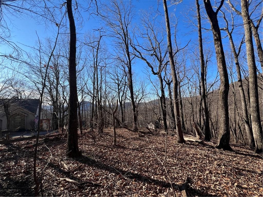 single family residence for sale at 4548 Sassafras Mountain Trail, Jasper, GA 30143 — photo 6