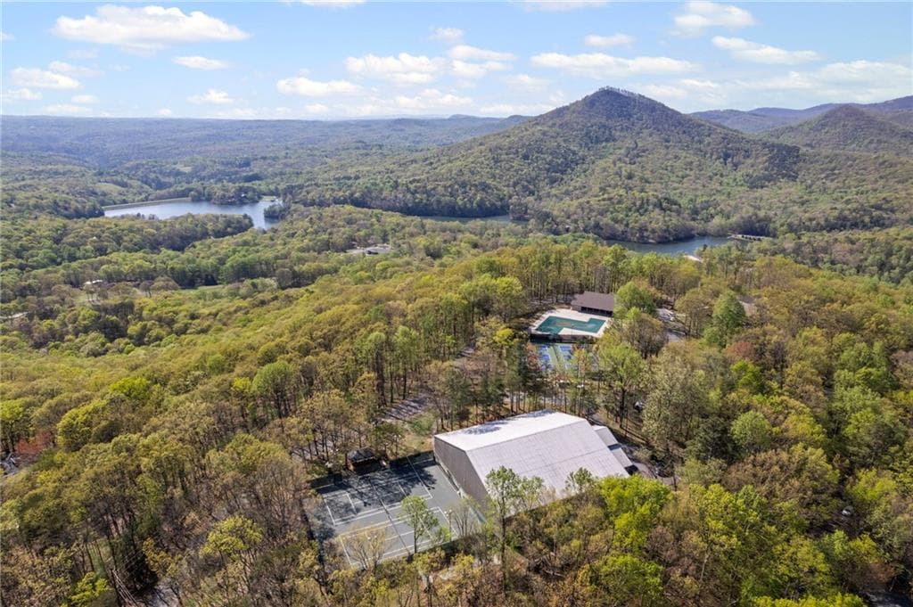 single family residence for sale at 4548 Sassafras Mountain Trail, Jasper, GA 30143 — photo 10