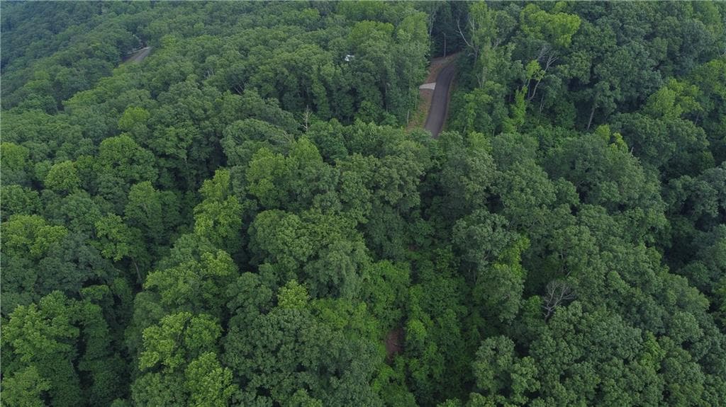unimproved land for sale at 0 Andes Ridge Parkway, Jasper, GA 30143 — photo 5