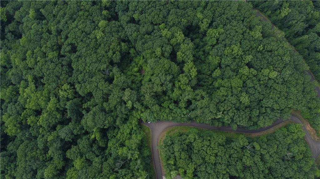 unimproved land for sale at 0 Andes Ridge Parkway, Jasper, GA 30143 — photo 3