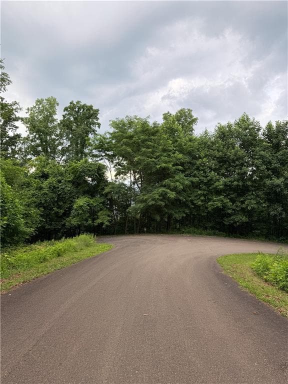 unimproved land for sale at 0 Andes Ridge Parkway, Jasper, GA 30143 — photo 2