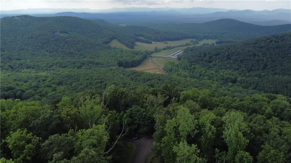 unimproved land for sale at 0 Andes Ridge Parkway, Jasper, GA 30143 — photo 4