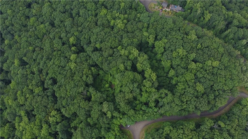 unimproved land for sale at 0 Andes Ridge Parkway, Jasper, GA 30143 — photo 6
