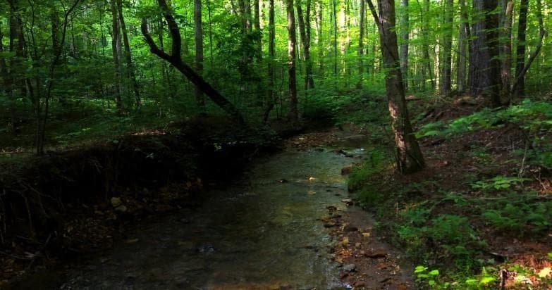 other for sale at 0 Nocona Trail, Ellijay, GA 30536 — photo 4