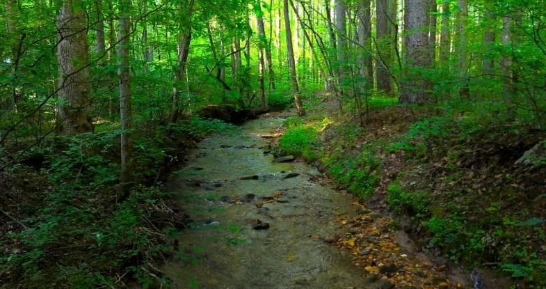 other for sale at 0 Nocona Trail, Ellijay, GA 30536 — photo 5