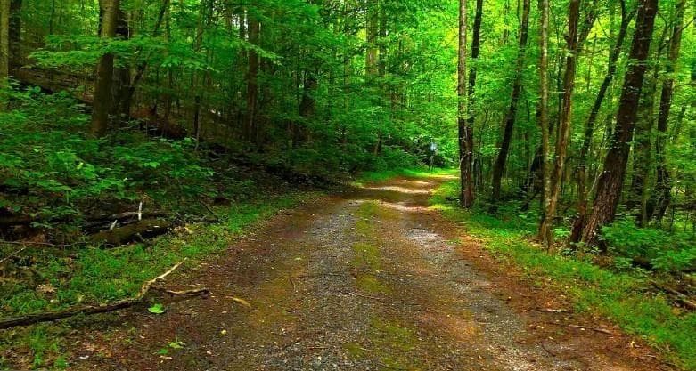other for sale at 0 Nocona Trail, Ellijay, GA 30536 — photo 7