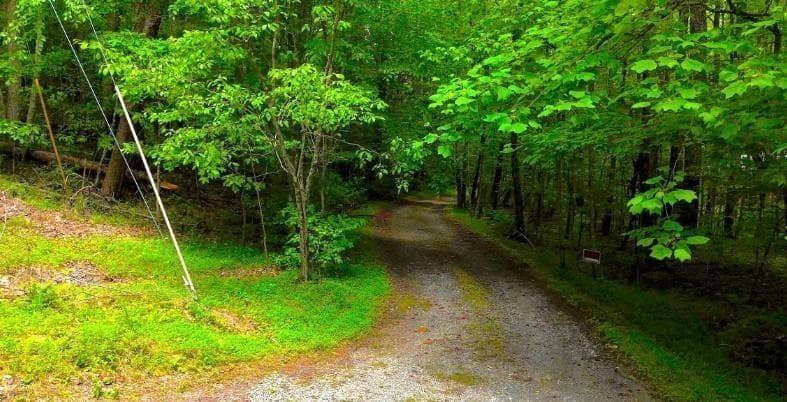 other for sale at 0 Nocona Trail, Ellijay, GA 30536 — photo 9