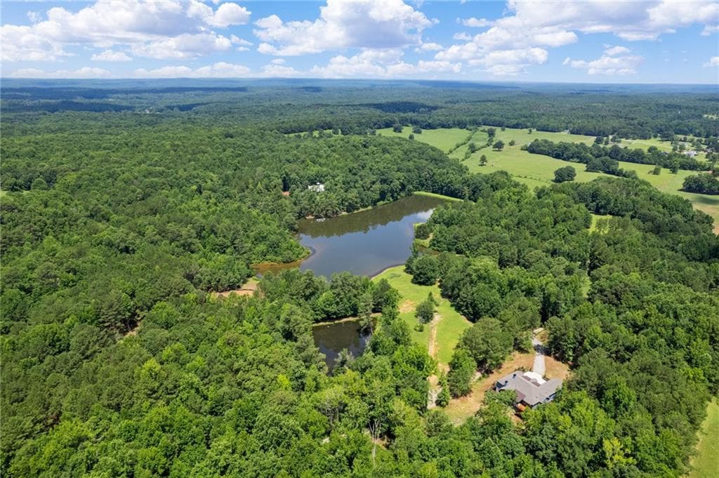 unimproved land for sale at 10861 Hutcheson Ferry Road, Chattahoochee Hills, GA 30268 — photo 2