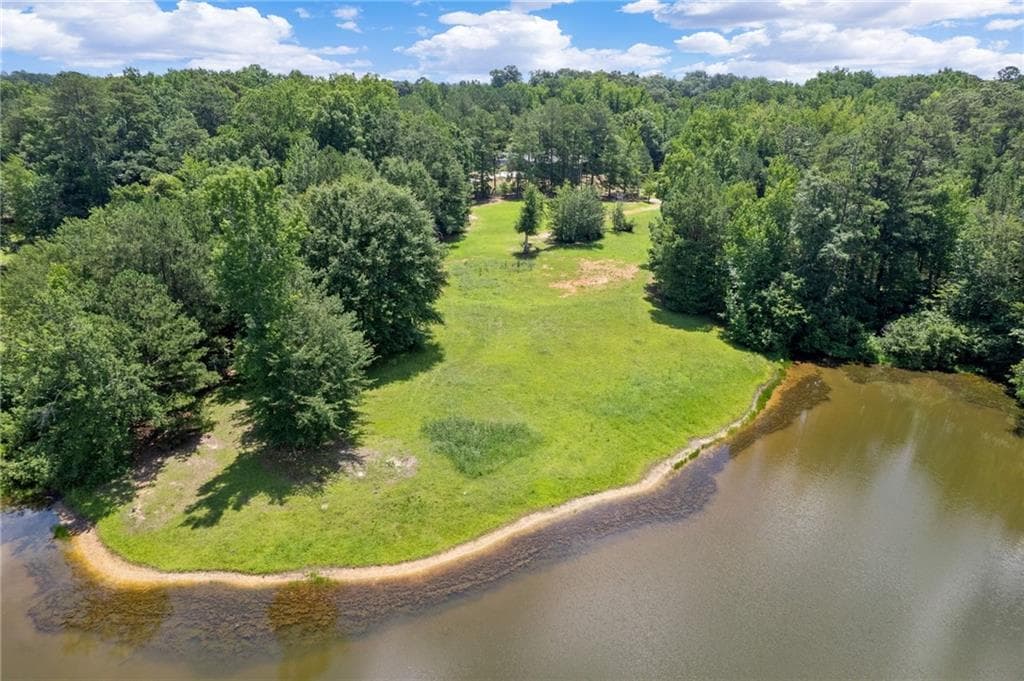 unimproved land for sale at 10861 Hutcheson Ferry Road, Chattahoochee Hills, GA 30268 — photo 3