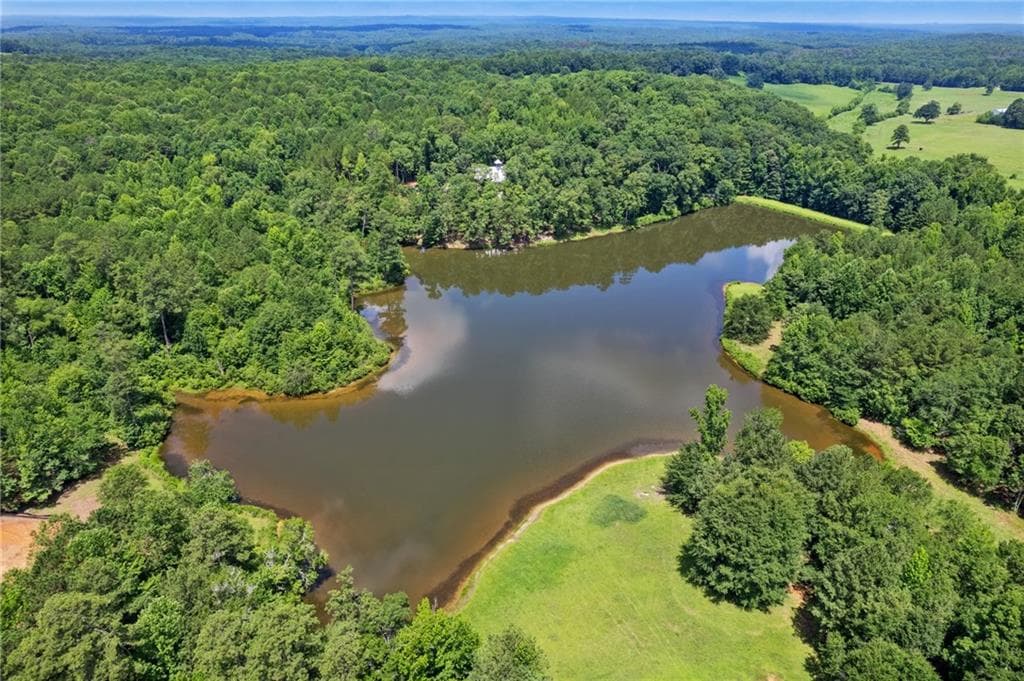 unimproved land for sale at 10861 Hutcheson Ferry Road, Chattahoochee Hills, GA 30268 — photo 5