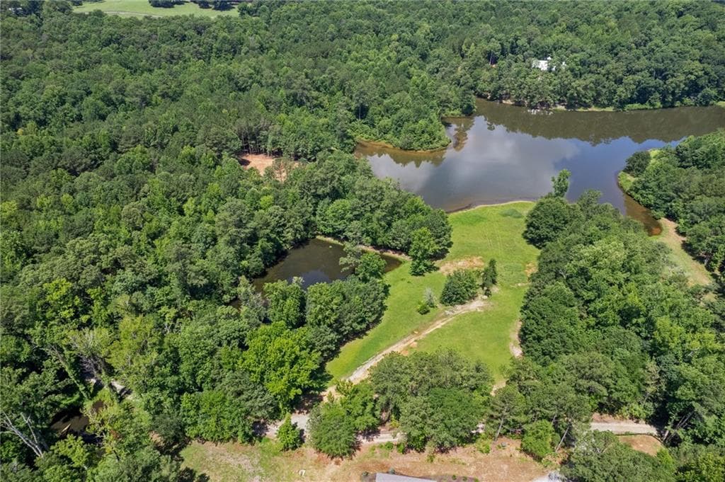 unimproved land for sale at 10861 Hutcheson Ferry Road, Chattahoochee Hills, GA 30268 — photo 6