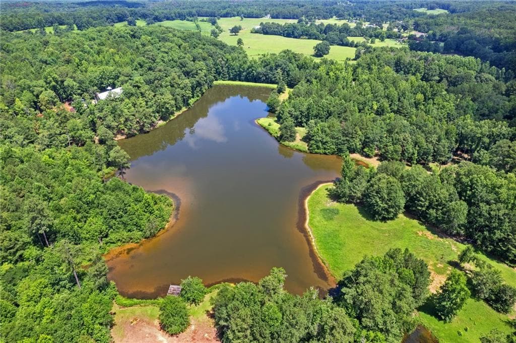 unimproved land for sale at 10861 Hutcheson Ferry Road, Chattahoochee Hills, GA 30268 — photo 7