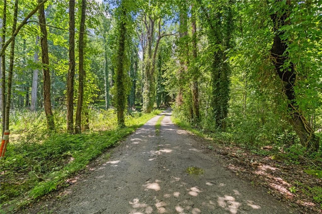 unimproved land for sale at 10861 Hutcheson Ferry Road, Chattahoochee Hills, GA 30268 — photo 9