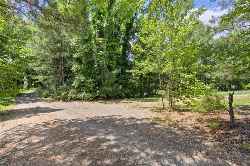 unimproved land for sale at 10861 Hutcheson Ferry Road, Chattahoochee Hills, GA 30268 — photo 10