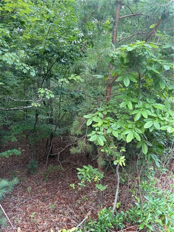 single family residence for sale at 13 Pinnacle Court, Blairsville, GA 30512 — photo 2