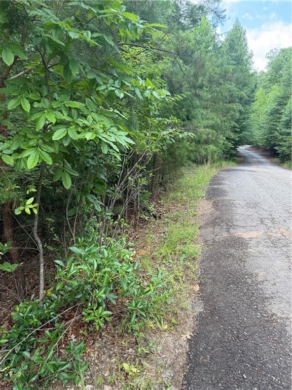 single family residence for sale at 13 Pinnacle Court, Blairsville, GA 30512 — photo 3