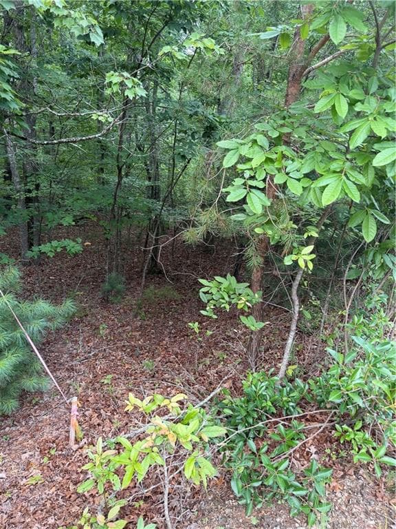 single family residence for sale at 13 Pinnacle Court, Blairsville, GA 30512 — photo 4