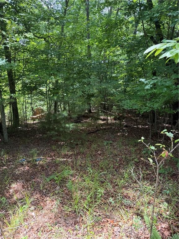 single family residence for sale at 13 Pinnacle Court, Blairsville, GA 30512 — photo 6