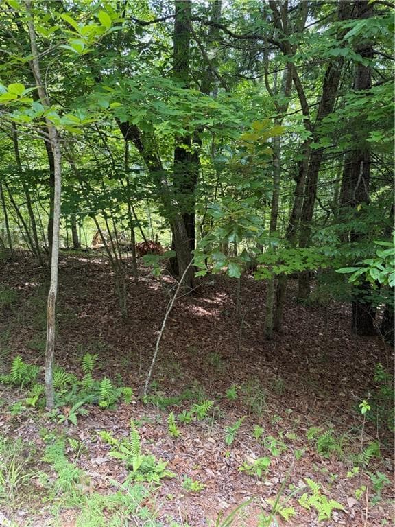 single family residence for sale at 13 Pinnacle Court, Blairsville, GA 30512 — photo 7