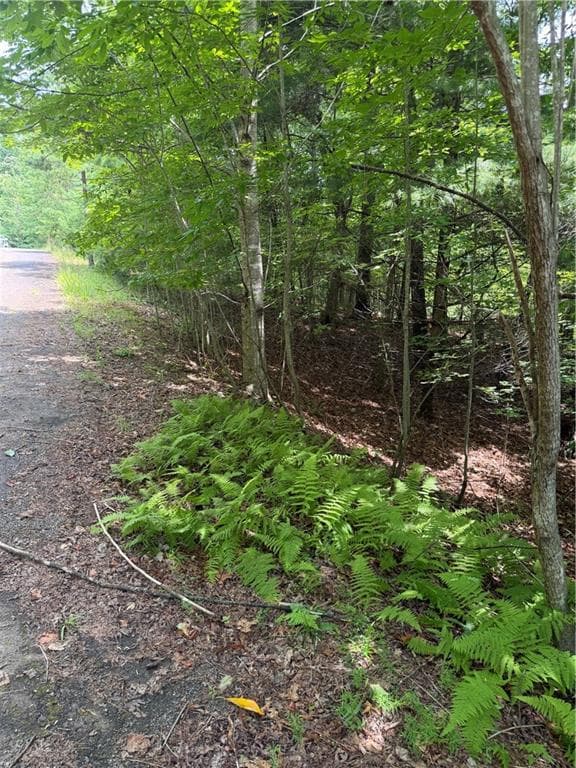 single family residence for sale at 13 Pinnacle Court, Blairsville, GA 30512 — photo 8