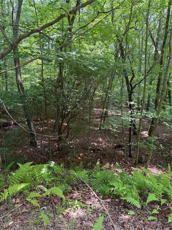single family residence for sale at 13 Pinnacle Court, Blairsville, GA 30512 — photo 10