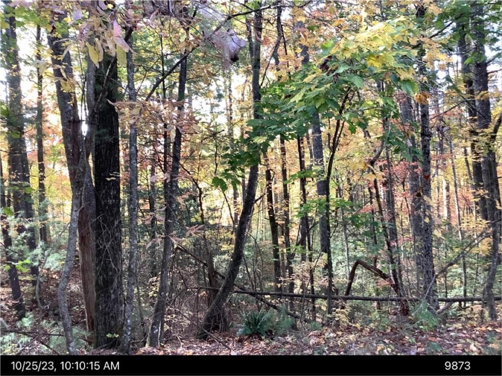 unimproved land for sale at - Andros Court, Ellijay, GA 30540 — photo 1 of 6