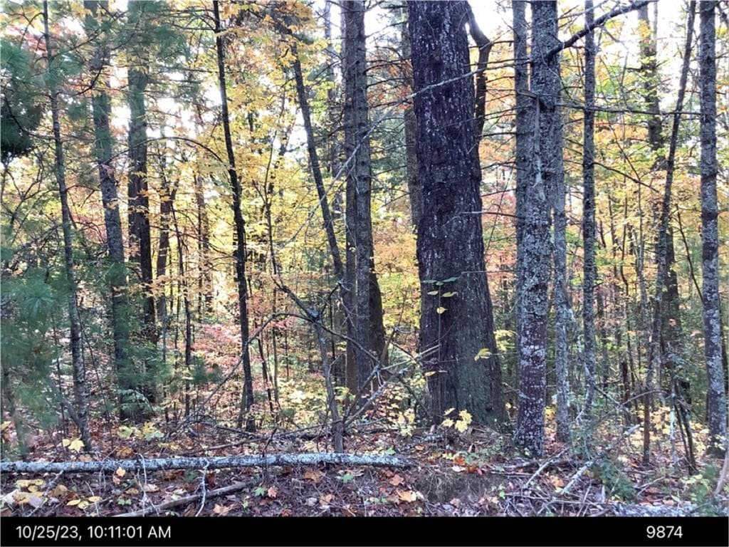 unimproved land for sale at - Andros Court, Ellijay, GA 30540 — photo 2