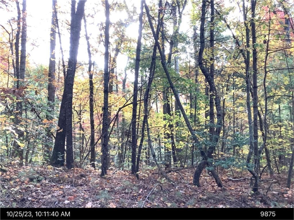 unimproved land for sale at - Andros Court, Ellijay, GA 30540 — photo 3