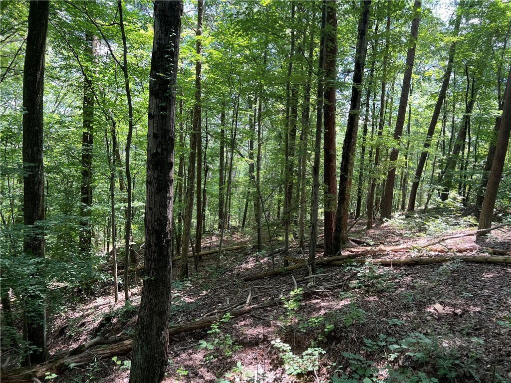 single family residence for sale at 0 Lavender Trail, Rome, GA 30165 — photo 3