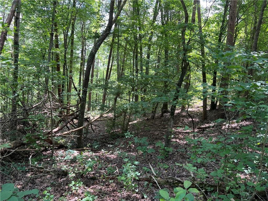 single family residence for sale at 0 Lavender Trail, Rome, GA 30165 — photo 4