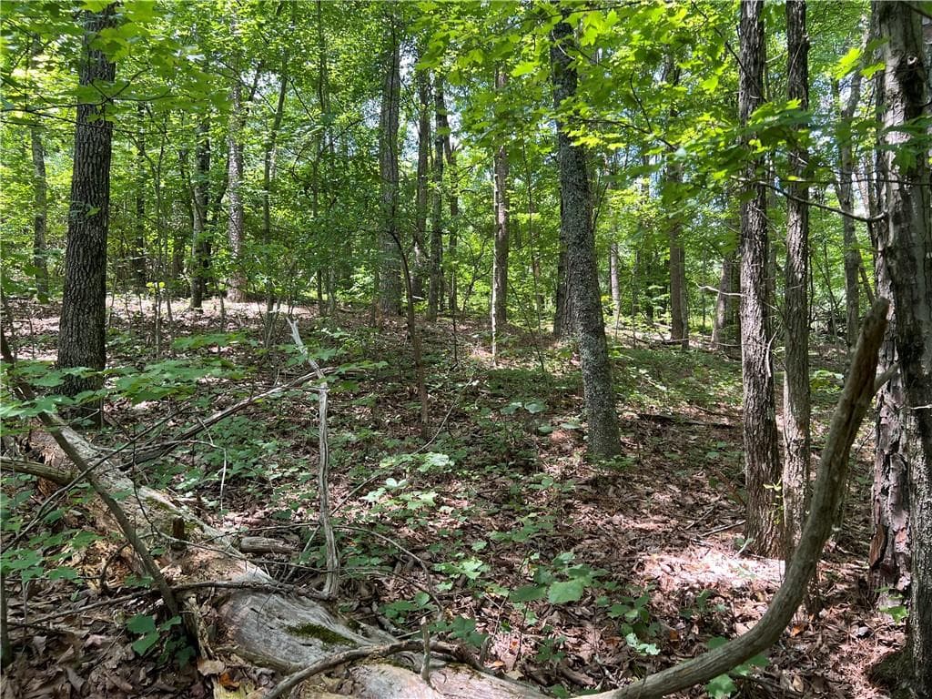 single family residence for sale at 0 Lavender Trail, Rome, GA 30165 — photo 7