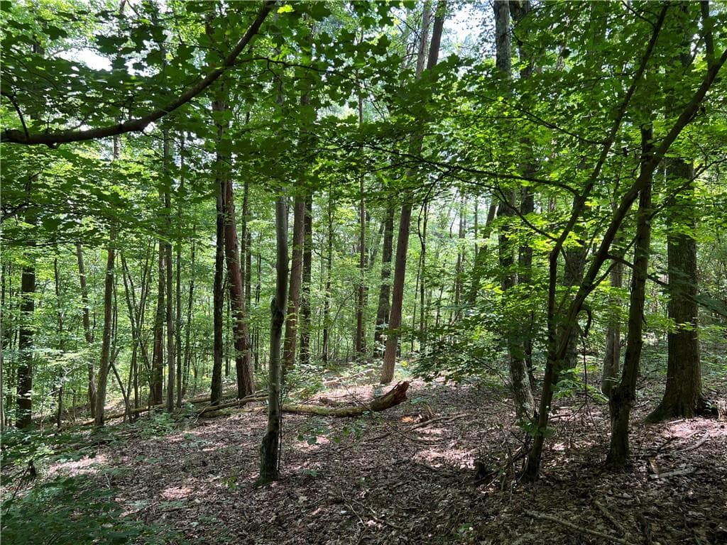 single family residence for sale at 0 Lavender Trail, Rome, GA 30165 — photo 8