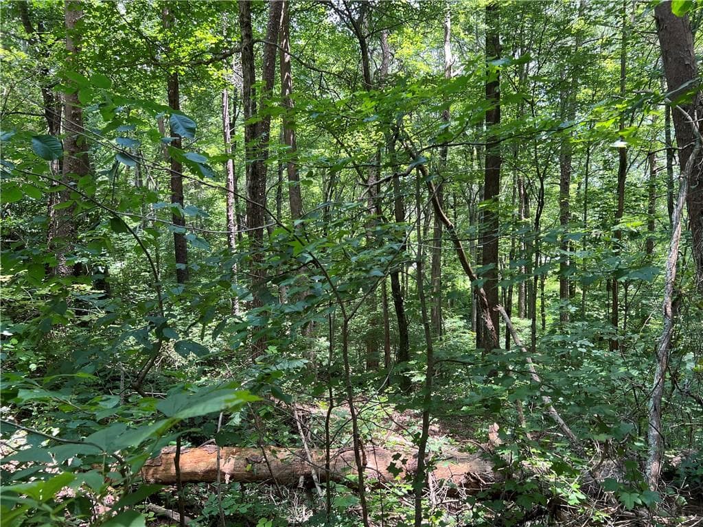 single family residence for sale at 0 Lavender Trail, Rome, GA 30165 — photo 9