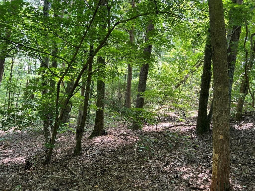 single family residence for sale at 0 Lavender Trail, Rome, GA 30165 — photo 10