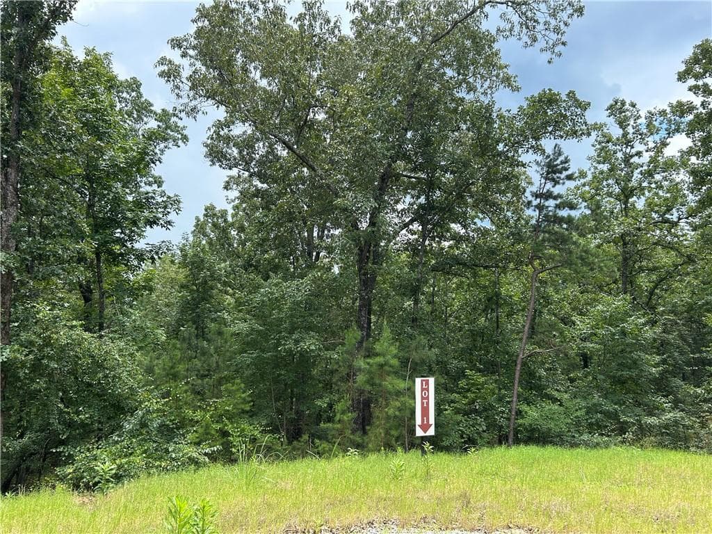 unimproved land for sale at 0 Hamilton Road, Chattahoochee Hills, GA 30268 — photo 1 of 7
