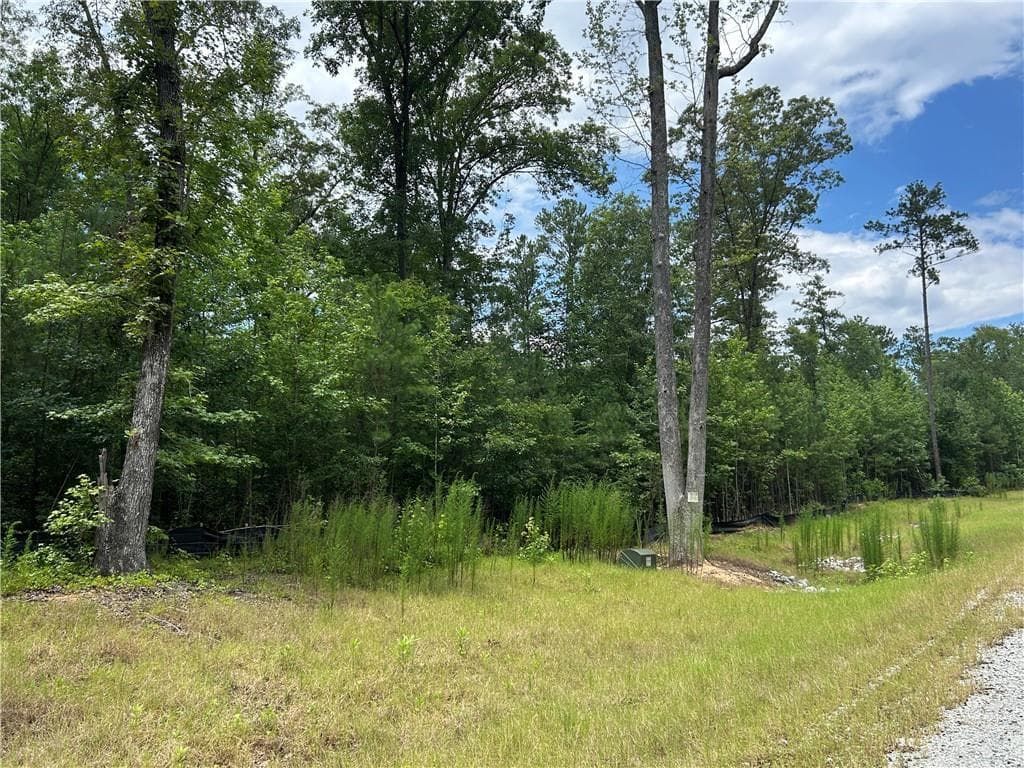 unimproved land for sale at 0 Hamilton Road, Chattahoochee Hills, GA 30268 — photo 4