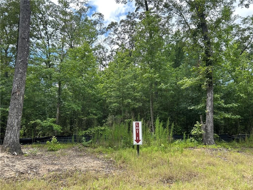 unimproved land for sale at 0 Hamilton Road, Chattahoochee Hills, GA 30268 — photo 5