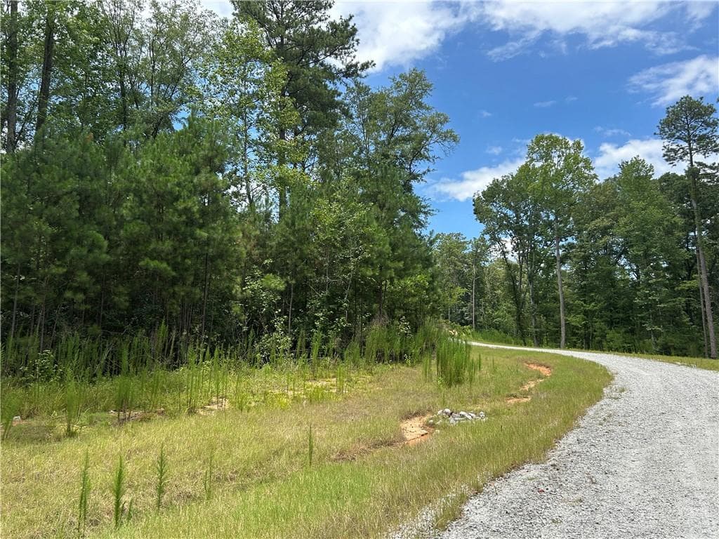 unimproved land for sale at 0 Hamilton Road, Chattahoochee Hills, GA 30268 — photo 6