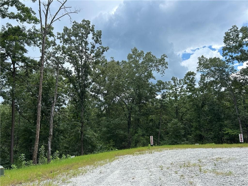 unimproved land for sale at 0 Hamilton Road, Chattahoochee Hills, GA 30268 — photo 7