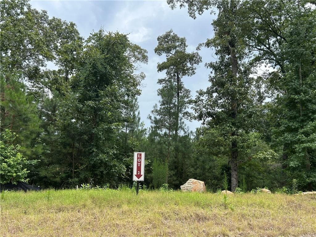 unimproved land for sale at 0 Hamilton Road, Chattahoochee Hills, GA 30268 — photo 2