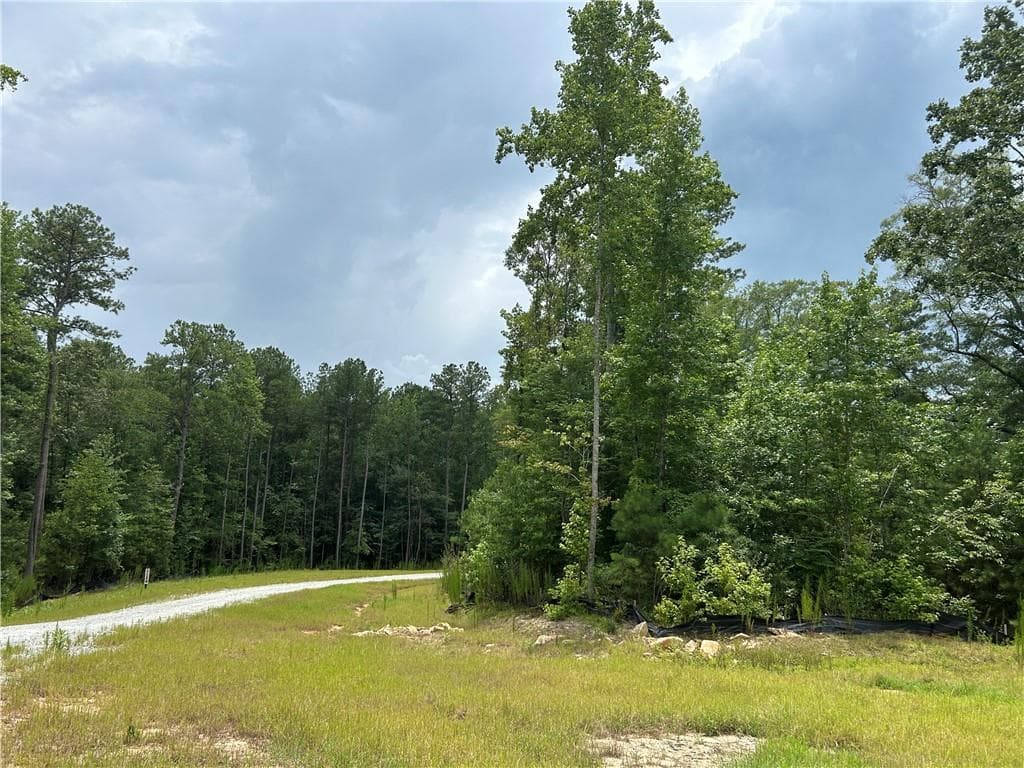 unimproved land for sale at 0 Hamilton Road, Chattahoochee Hills, GA 30268 — photo 3