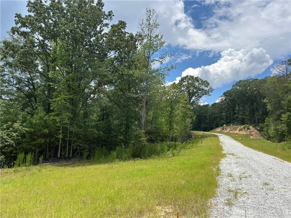 unimproved land for sale at 0 Hamilton Road, Chattahoochee Hills, GA 30268 — photo 4