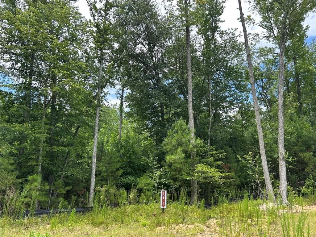 unimproved land for sale at 0 Hamilton Road, Chattahoochee Hills, GA 30268 — photo 5