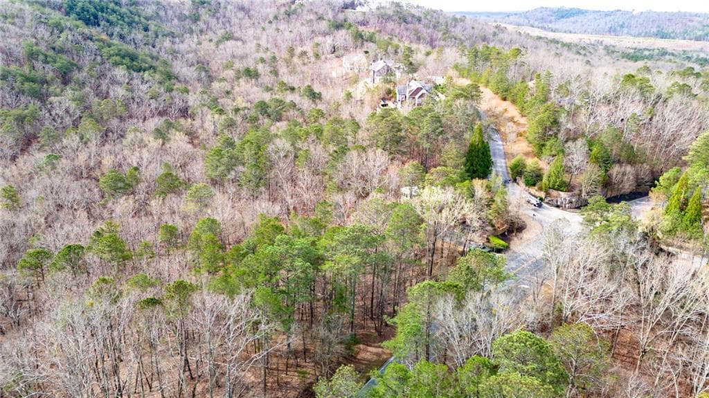 unimproved land for sale at 00 Red Top Mountain Road, Cartersville, GA 30121 — photo 6