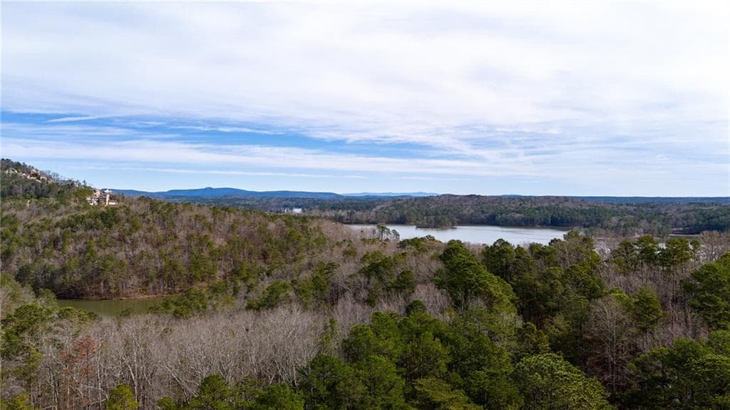 unimproved land for sale at 00 Red Top Mountain Road, Cartersville, GA 30121 — photo 7