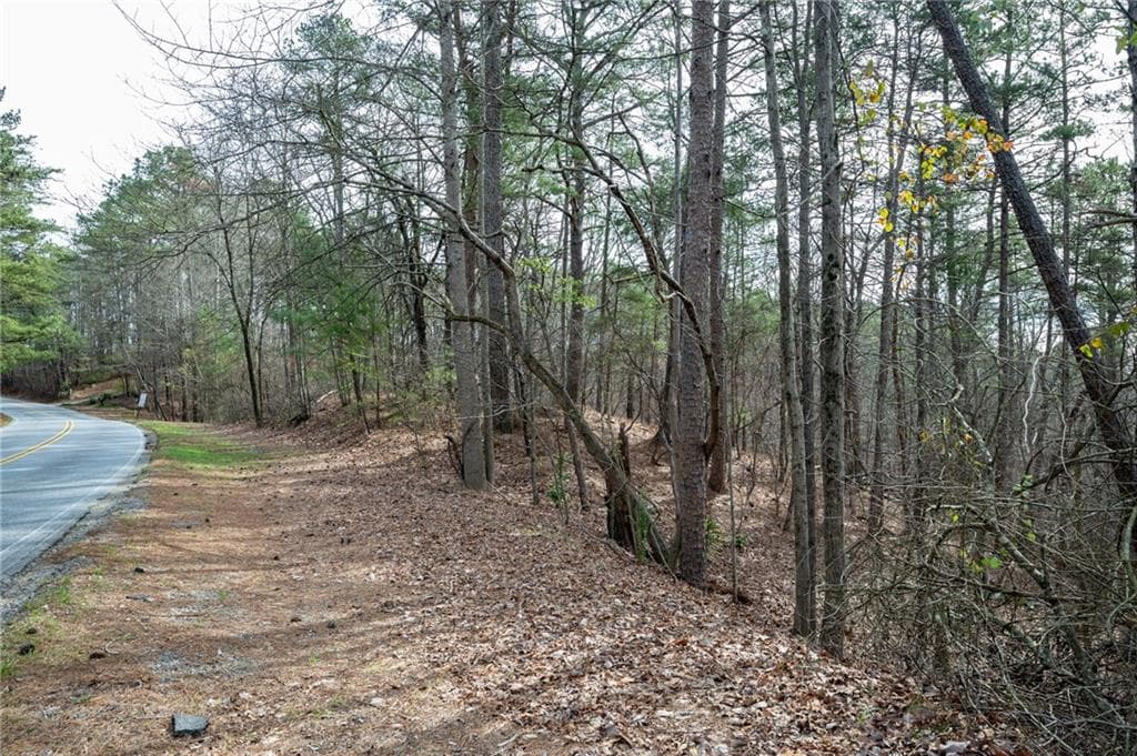 unimproved land for sale at 00 Red Top Mountain Road, Cartersville, GA 30121 — photo 9